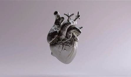  لعلاج تلف القلب.. علماء يبتكرون خلايا جذعية قابلة للطي