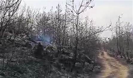 النيران التهمت مساحات شاسعة.. إخماد الحرائق التي اندلعت ليلا في إقليم الخروب والأضرار جسيمة