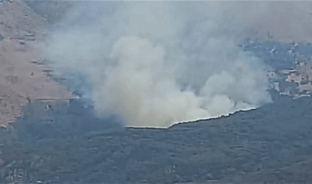 ما جديد حرائق الأحراج في لبنان؟