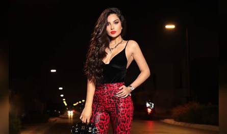 بعد انتشار خبر ارتباطهما.. الفنانة اللبنانية الشهيرة تُنهي علاقتها بحسام حبيب؟ 