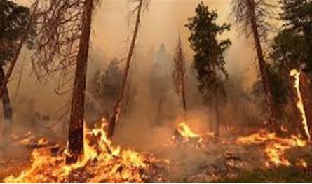 حرائق لبنان تتمدد: خسائر بيئية خطيرة وتحذيرات من تصحّر وارتفاع الحرارة