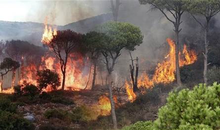 الحرائق بين اليوم والأمس: تجدد المطالبة بخطة طوارئ حقيقية