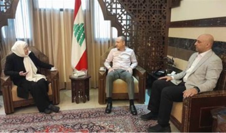 بهية الحريري تابعت مع محافظ الجنوب المستجدات وقضايا حياتية