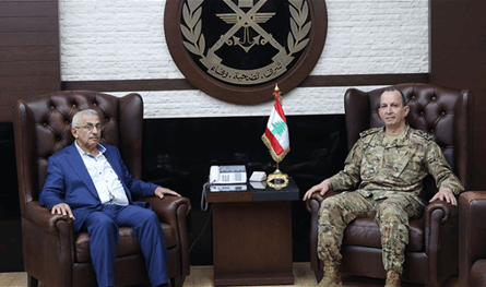 هيكل عرض مع ضيوفه الأوضاع العامة والشؤون الوطنية الراهنة