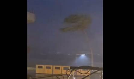 بالفيديو... أمطار ورياح وسقوط شجرة!