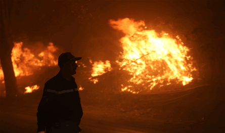 الجزائر.. إجلاء سكان وتدخل بريّ وجوّي بسبب حرائق ضخمة (صور وفيديو)