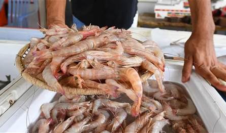 إندونيسيا تتخلص من أطنان من الروبيان الملوث بمادة مشعة