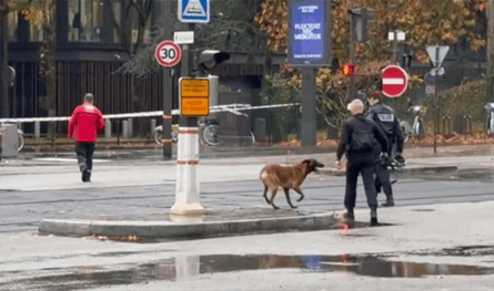 إخلاء وتوقف البث.. إنذار بوجود قنبلة أمام محطة تلفزيونية فرنسية