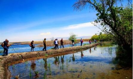 اليوم تحديداً... فلنستعد طاقتنا عبر المشي في الطبيعة