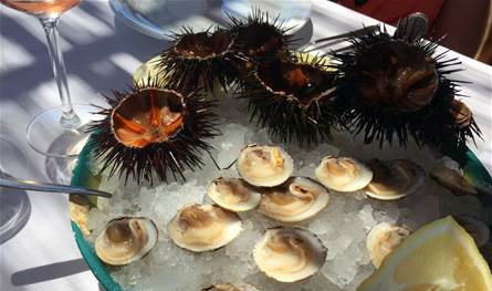 وسط خلاف مع تايوان.. الصين توقف استيراد المأكولات البحرية من اليابان