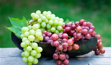 بين العنب الأحمر والأخضر.. أيهما أفضل؟
