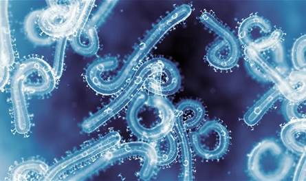 دولة عربيّة تتأهب لمُواجهة فيروس خطير!