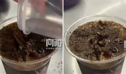 قهوة بالصراصير&quot;.. مشروب جديد يثير ضجة كبيرة في الصين