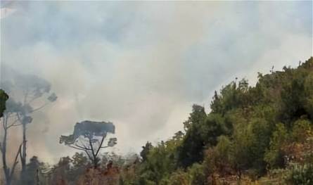 حريق كبير في أحراج بلدة بنابيل