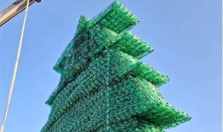 افتتاح أكبر أرزة في العالم قريبًا