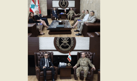 هيكل يلتقي الممثلة الخاصة لحقوق الإنسان للاتحاد الأوروبي ووفداً دبلوماسياً