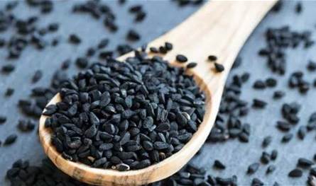 دراسة يابانية: حبة البركة تخفّض الدهون في الدم بشكل لافت