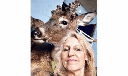 بعد أن أنقذته.. غزال يقتل امرأة