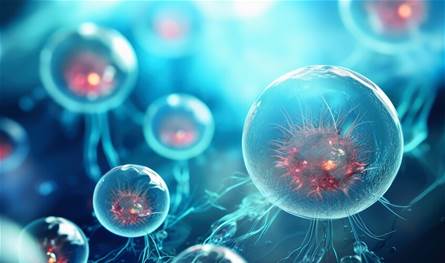 استراتيجية فعالة لتجديد خلايا الدم ومكافحة الشيخوخة.. ما هي؟