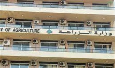 وزارة الزراعة أطلقت حملة توزيع الاشجار على مزارعي عكار