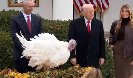 جدل جديد: &quot;ديك عيد الشكر&quot; يتحول إلى مادة سياسية في خطاب ترامب (فيديو)