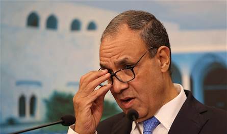 وزير الخارجية المصري يمهل لبنان أسابيع.. ونصيحة غربية بالافادة من رغبة ترامب بلعب دور &quot;صانع السلام&quot;