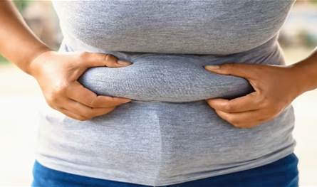  الدهون في مواضع معينة من الجسم تسرّع شيخوخة الدماغ.. هذا ما كشفته الدراسات