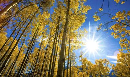 الحرارة تعود للارتفاع وستتخطى معدلاتها.. كف سيكون طقس الأيام المقبلة؟