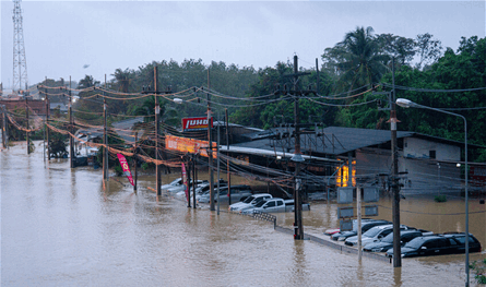 فيضانات كارثية في تايلاند.. عدد كبير من القتلى ومليون منزل متضرر