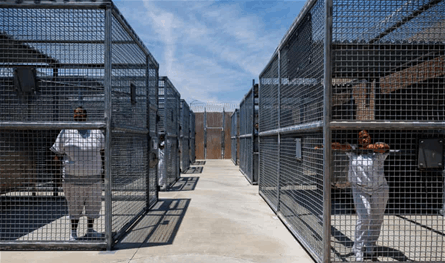 كم عدد النساء في السجون والمحكوم عليهن بالإعدام حول العالم؟  