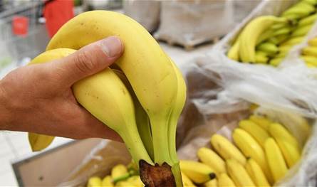 الموز… الفاكهة الذهبية وفوائدها الصحية المتعددة
