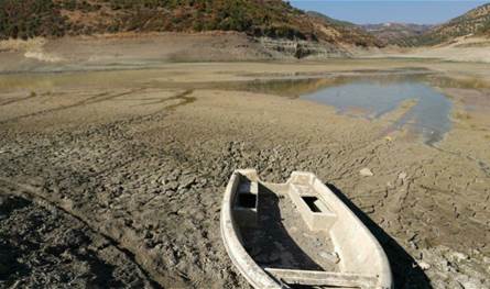 جفاف سوريا يلتهم القمح… أزمة غذاء وموسم 2025 الأخطر منذ 40 عاماً