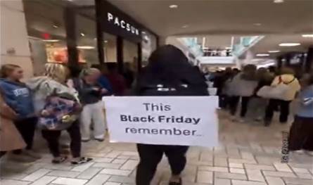 وقفة احتجاجية داخل مجمّع تجاريّ في واشنطن لتسليط الضوء عما يجري في غزة