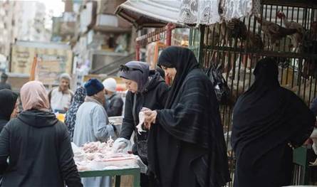  هبوط تاريخي لأسعار الدواجن وبيض المائدة في مصر