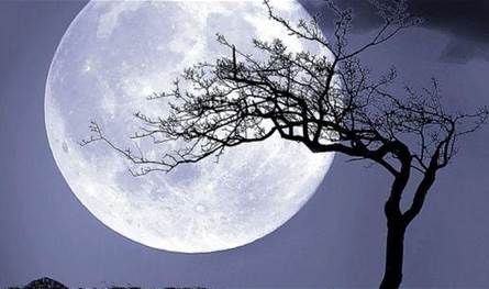 السماء تستقبل آخر قمر عملاق لعام 2025 مساء الخميس