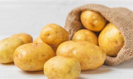 &quot;20 كلغ بطاطا بتساعد&quot;... لبنان يطلق حملة وطنية لإنقاذ موسم المزارعين