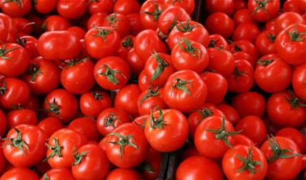 بينها البندورة... سوريا تُوقف إستيراد منتجات زراعيّة