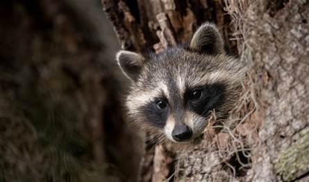 زجاجات محطّمة وويسكي على الأرض… والفاعل نائم في حمّام الموظفين