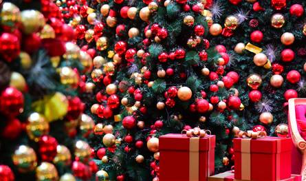 بسب زينة الميلاد.. نجمة شهيرة تتعرض للانتقادات (صور)