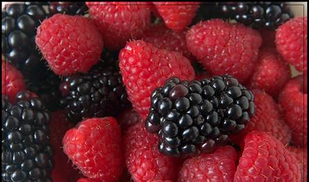 هل ثمرة توت متعفنة تفسد محتوى العبوة كاملا؟