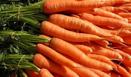 هل يساعد الجزر على النوم؟ 