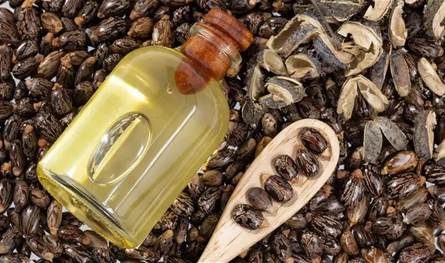 فوائد صحية لزيت الخروع.. تعرفوا عليها!