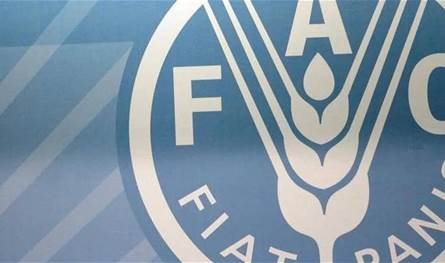 تراجع عالمي في أسعار الغذاء للشهر الثالث مع استمرار ارتفاع الحبوب