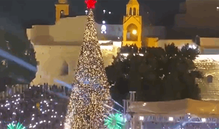 من قلب بيت لحم.. شجرة الميلاد تُضيء بعد عامين من الغياب (فيديو)
