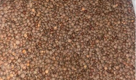 ضبط شاحنة مُحمّلة بالعدس المهرّب