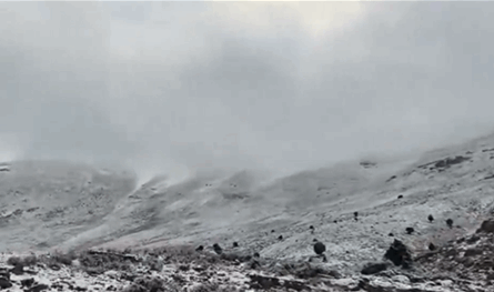 انخفاض درجات الحرارة إلى ما دون الصفر.. نصائح للسائقين في جرود الضنية (فيديو)