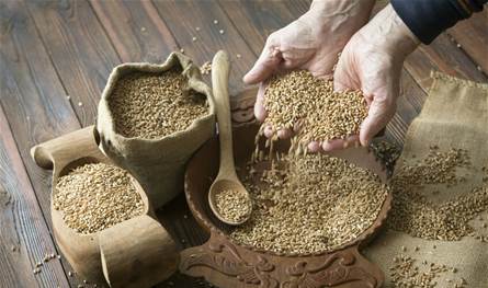 روسيا تزيد صادرات المنتجات الزراعية إلى تركمانستان