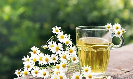 عشبة شهيرة تخفض ضغط الدم وتساعد على النوم.. ما هي؟