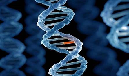 في دراسة جديدة... اكتشاف صلة بين طفرات بروتينية وأمراض تهدد الحياة!