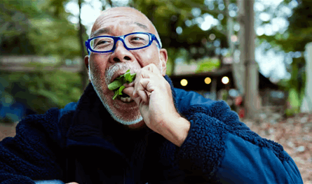 دراسة: تقليل السعرات الحرارية قد يبطئ شيخوخة الدماغ